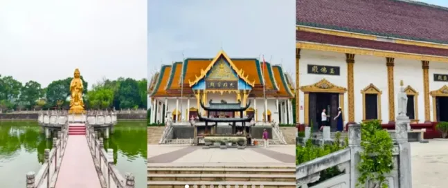 0312d084e79036304f081032c7885698-sz_311201