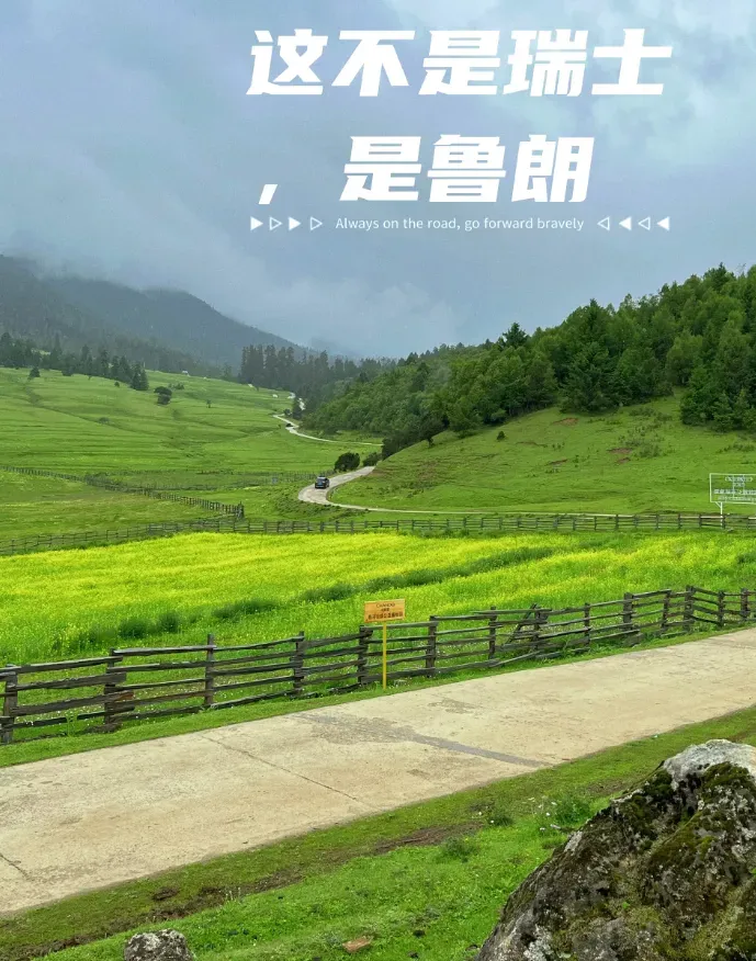 032b2eca3453451e2a19e0fcd65ddaaa-sz_1175154