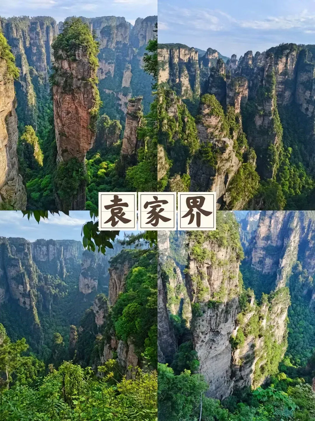 036590aa45404289995f0feba4a6e1a1-sz_3809531