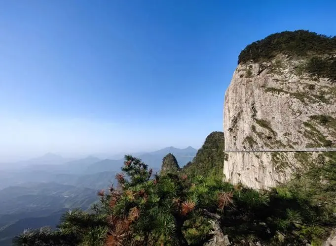 0374a6d1ce045c0cb1111b8b4813129b-sz_52382