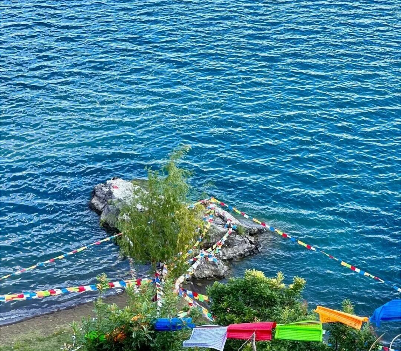 0397e1d7c09c55de8e1efa6fa1c355f6