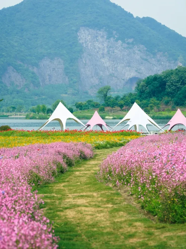 04011d3e6be71177c223e3511cbad2bf-sz_3446590