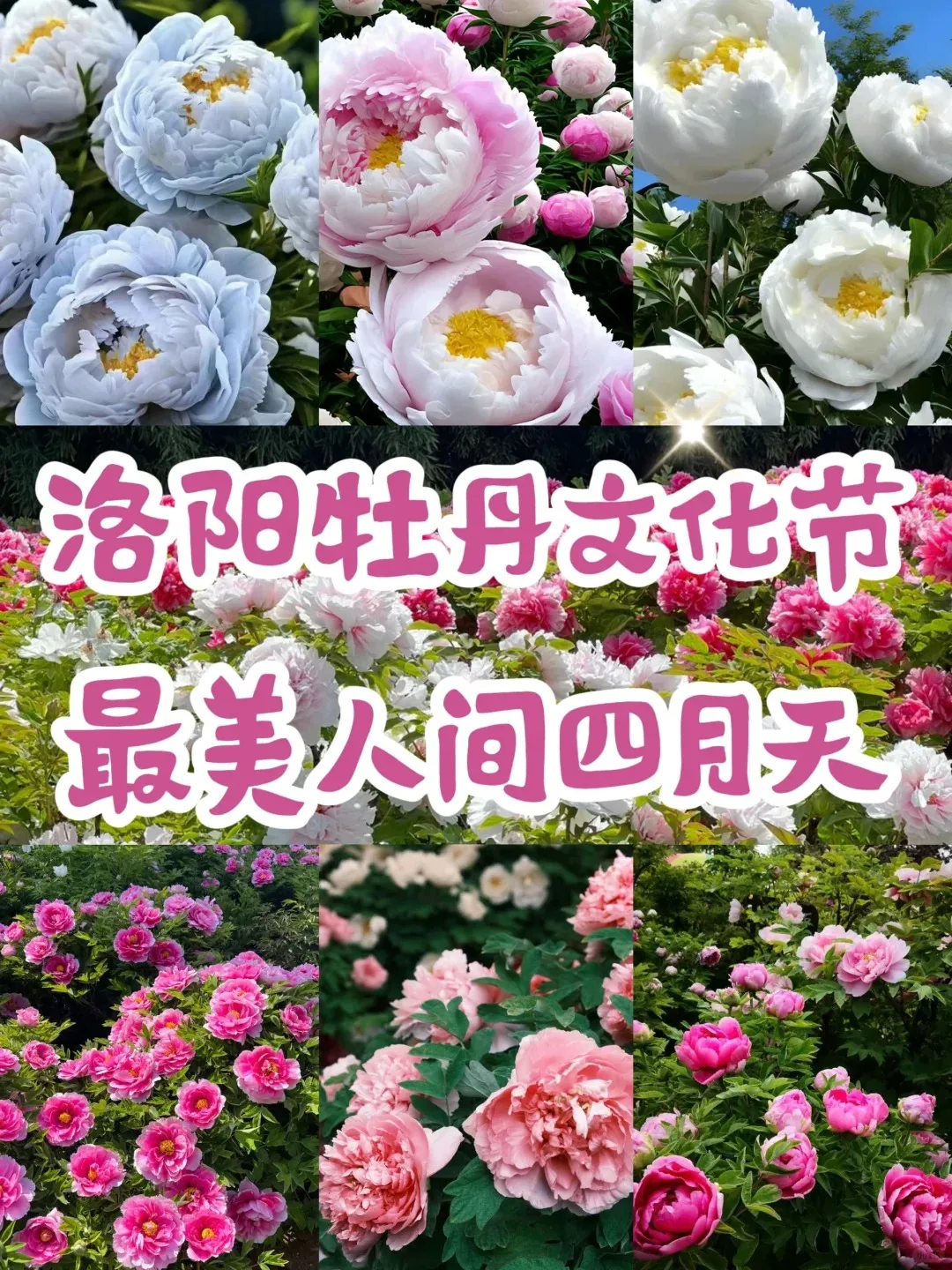 0405cfdc99a68768afe04be458229066-sz_569387