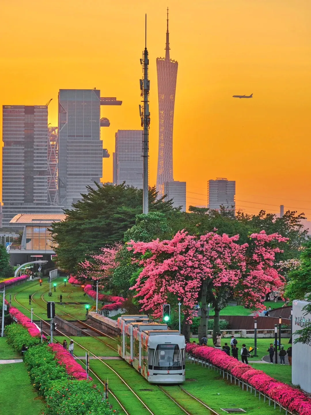 0420ea2d79ec490bc5d84b6ad4a56d7f-sz_512509