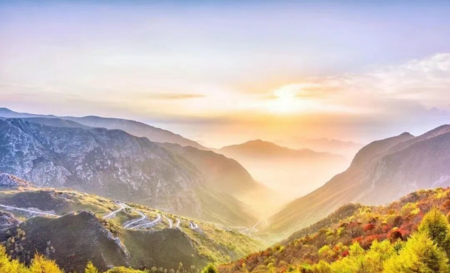 048510ca3f3ba9c53f51ced34ca60b7a