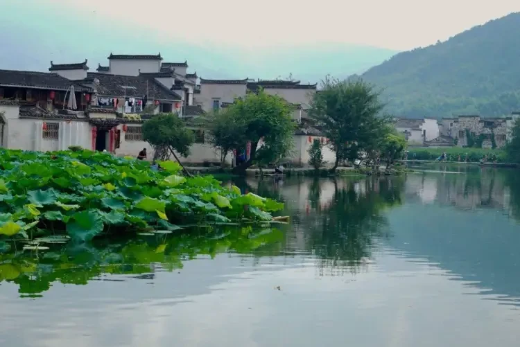 04c5541e60a30da32c47ade68bef59e3-sz_151399-1