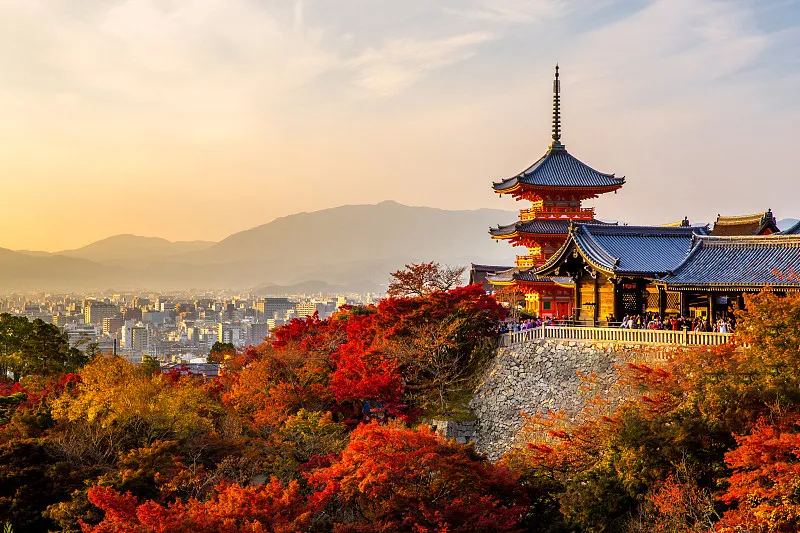 04ec2835ff20d0599e3d181e7d06c5dd-sz_451402