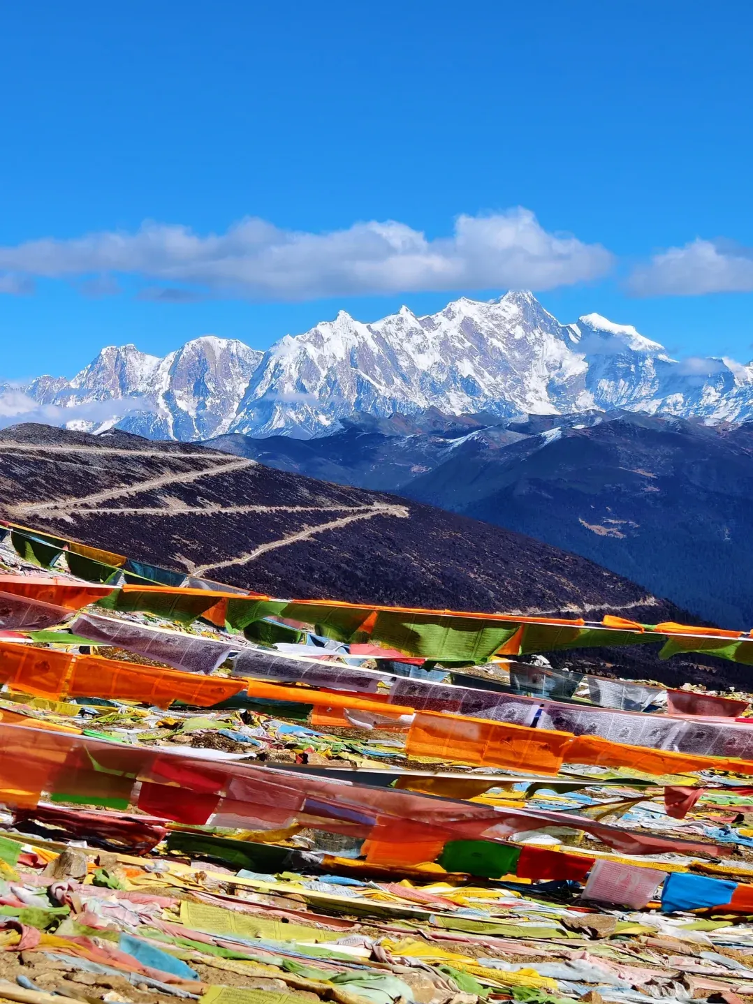 0520ecabc0fd9233aeab64271f03310d-sz_2153518