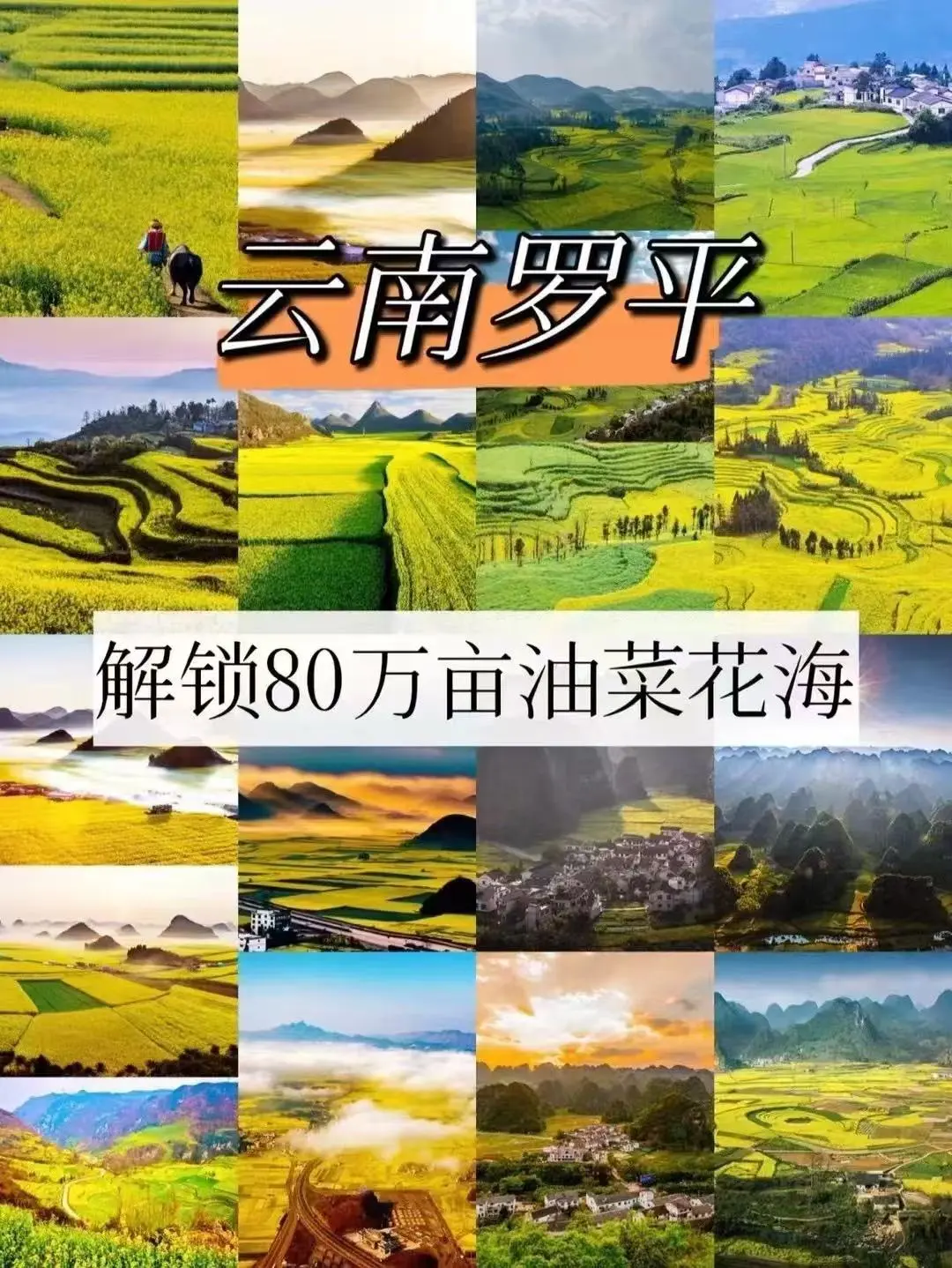 05a49b96fe75f0196dbab64b444b7d38-sz_266069-1