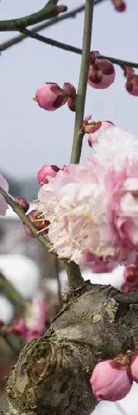 05a8d4eaeac61119d35ec879865d3e74-sz_667115