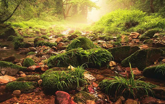 05b85a5230158ea75253d568b00f7ac6-sz_214785