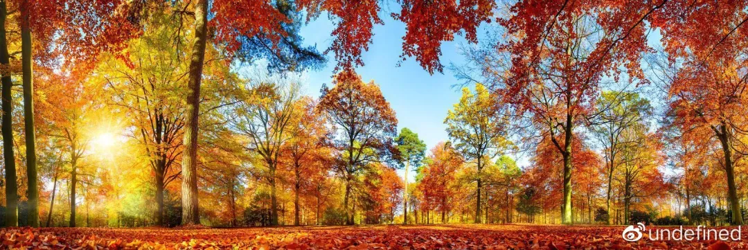 061d75fb4752ff1a5691138eb6ea7291-sz_2763389