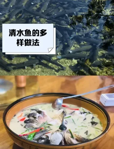 0633bf4272d87c176459e927f133b136-sz_472208