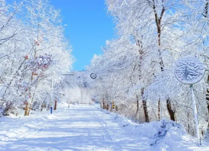 06e22f3b538653ce7da798789705c5ae-sz_285516-1