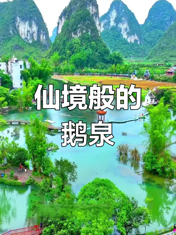 07000b3d4585fb49bc7e0bdf7b5ea7b1-sz_2471894