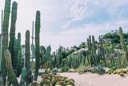 0707706b182ceae9b3a2b1d07a10281b-sz_358623-2