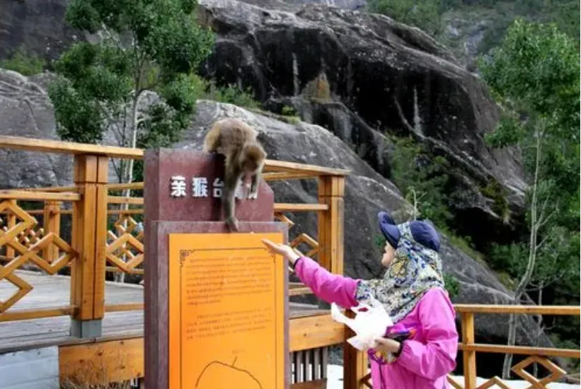 073ee46afae65610f97afa9a8664e65f-sz_1270071-1