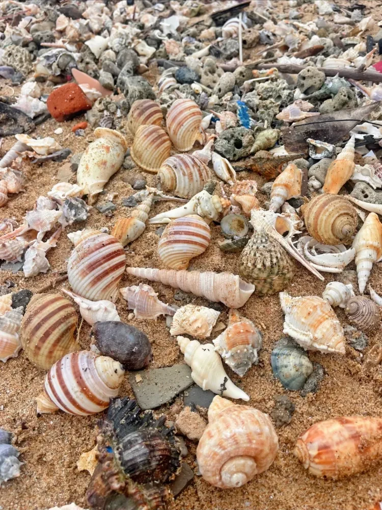 076331011604b757081801a89b05e32e-sz_4391304