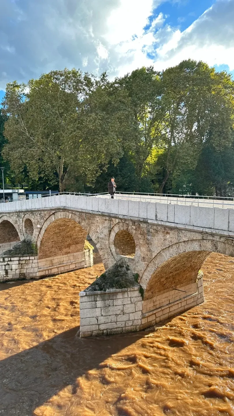 0769d7d982847c22848a6bc67cd776c0-sz_643396