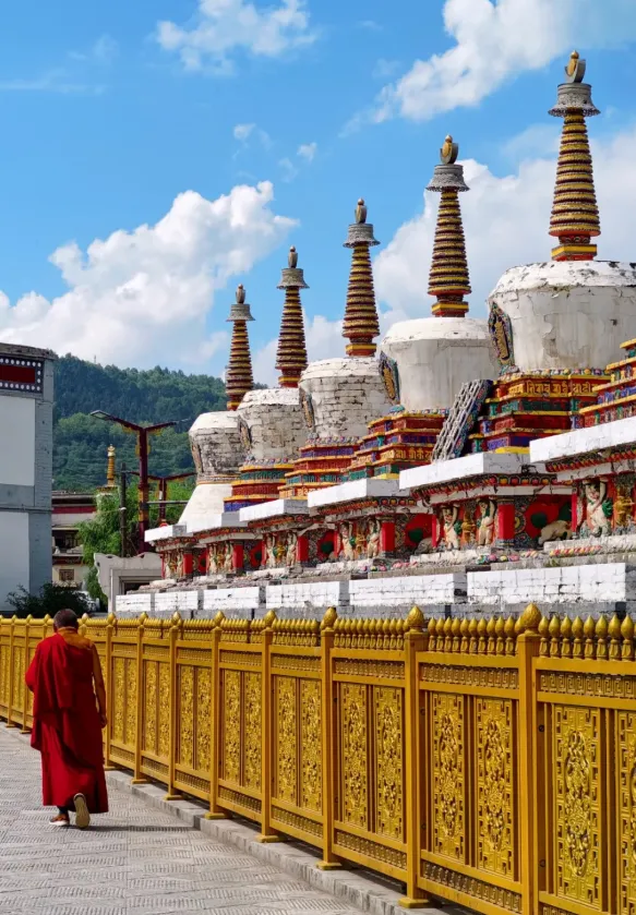 076e6c239acbf7af37cbe09a22c47bff-sz_1116335