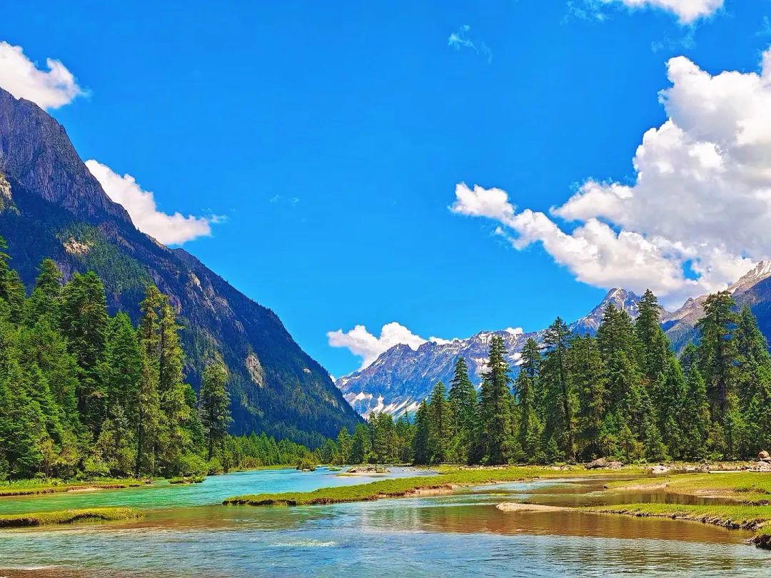 0772c6dbca878558f9883084eb50c39f-sz_1965347