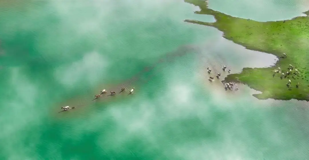 0784754717892b6dacbbc6d6b3dfed65-sz_85804