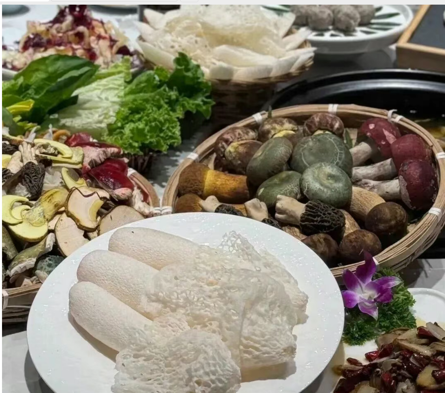 07af83a425e26b6d688637159393c776