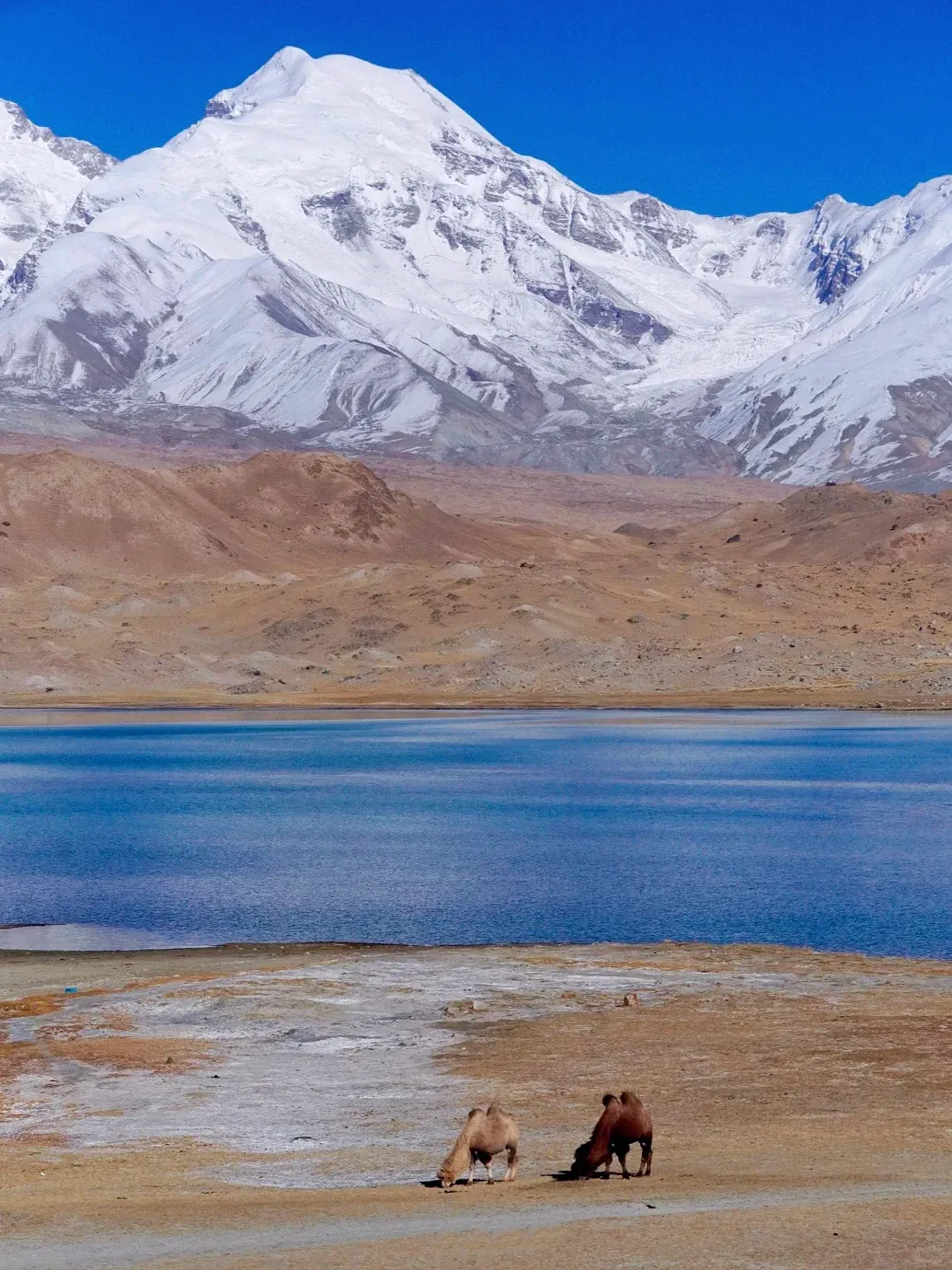 07e335bf035fdaf089efb3eefc71f187-sz_3053688