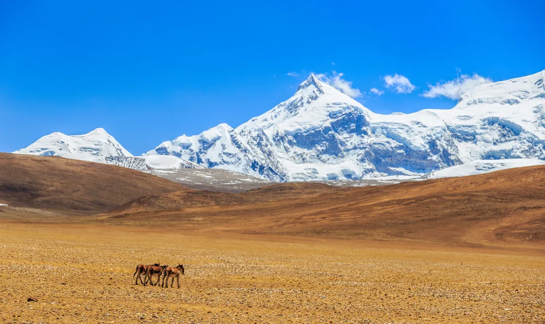 07e517bd35152db367563c160d319c91-sz_1998607