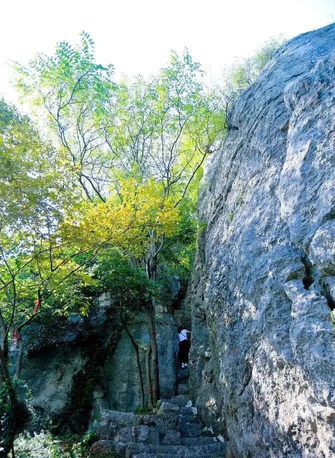 08632ef40743c634cf2a4d80cfc0d347-sz_219732