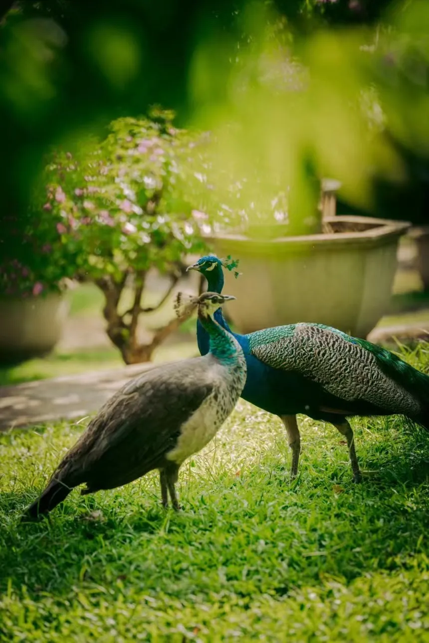 08662bbf5c4e62cb9168eda1d2bbfb72-sz_240936 08662bbf5c4e62cb9168eda1d2bbfb72-sz_240936