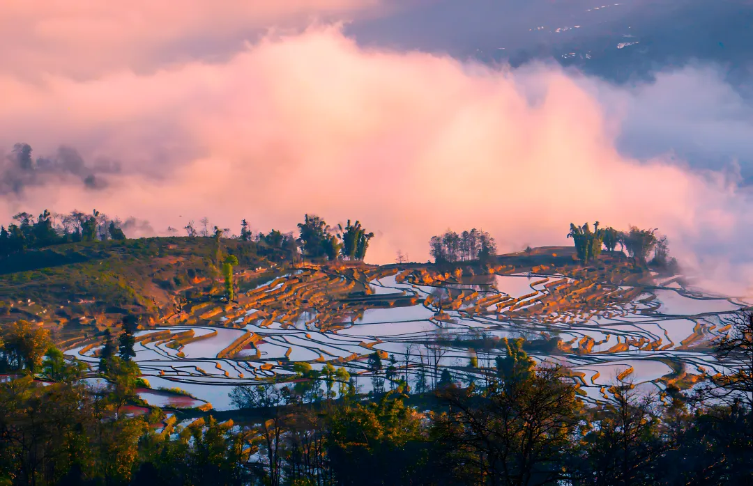 089d77df6b35601c45b0465562bd3601-sz_23637519