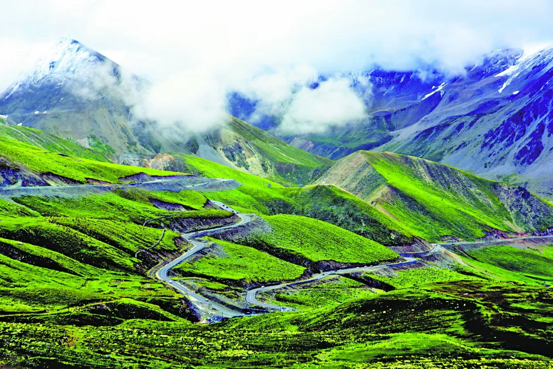 08af8b61aceec9cdbbfe0b8256ec38a7-sz_2180336