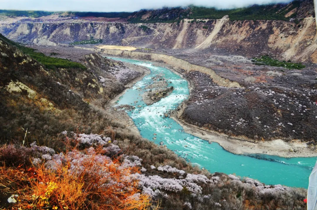 08ba3590e6c160c87e261fc79f667732-sz_461720