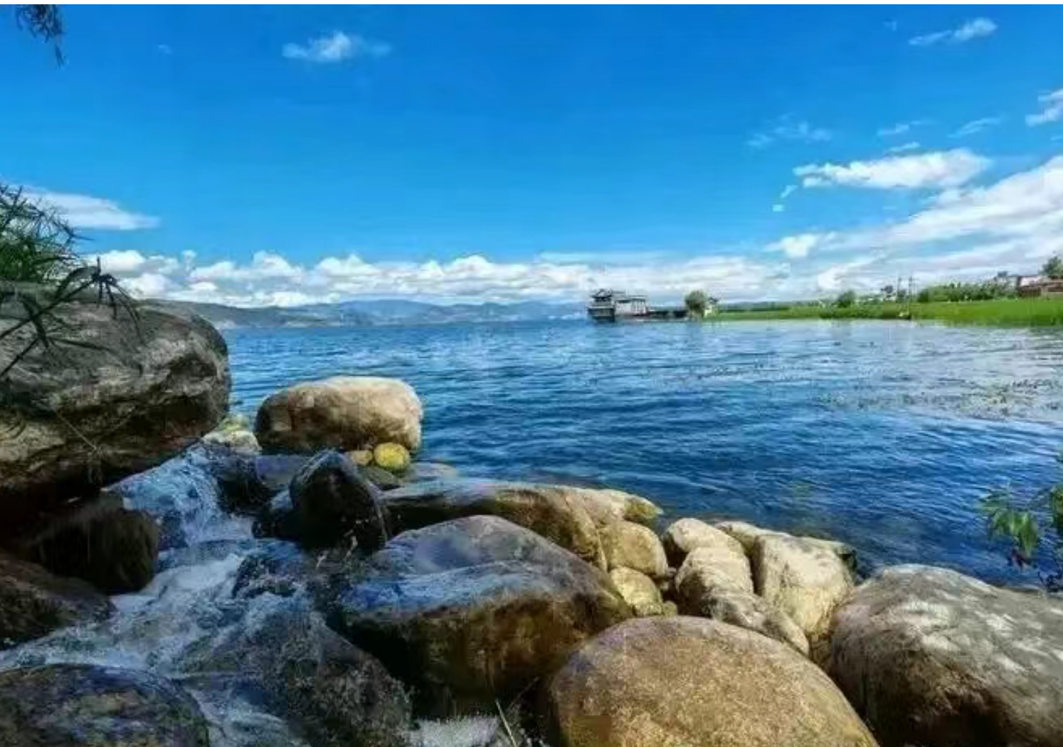 08c8888df698716a64b176ab9ad44e1c