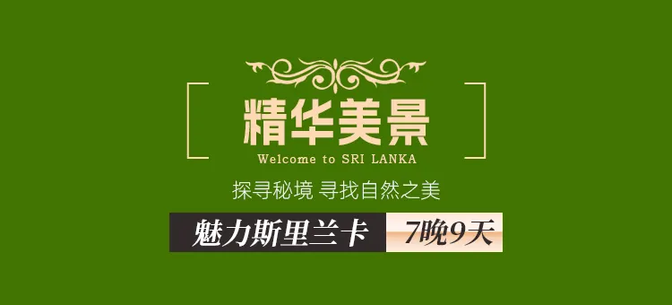 09407e7508cd222c4ed7371429fa14d3-sz_71690