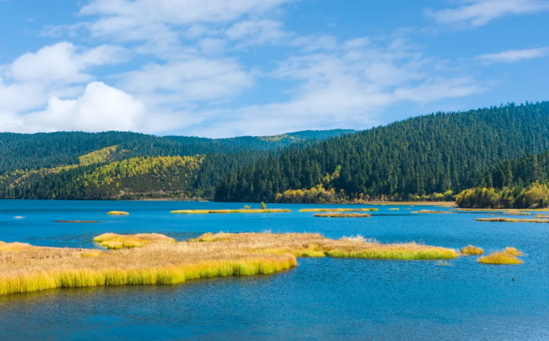 09886bfa004b8436f561e6fc0f7e93ff-sz_2905585