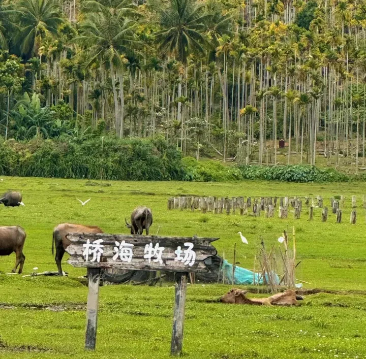 0998707241d3d2da78dddde480de086f-sz_1110186