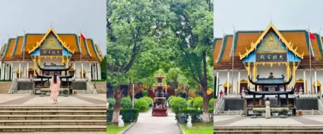 09ad3302b670eee30d9b2902bb573816-sz_358425