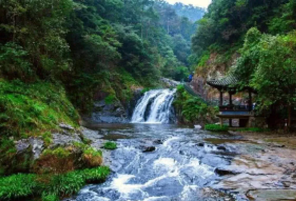 09f18a241d8f9fa1d532e355d6e5d913-sz_318292 09f18a241d8f9fa1d532e355d6e5d913-sz_318292