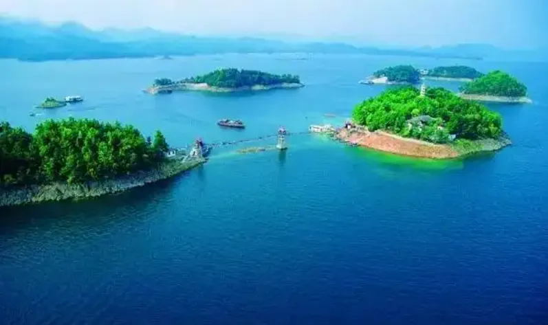 09f3da9d25c91ba0d7e6a29a6ef051c8-sz_580296