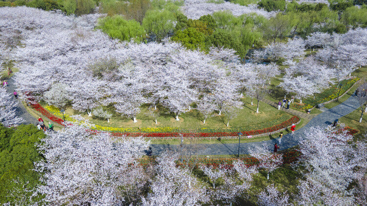 0MMSo48bwtRWMANKBJ8xCkfIQi_W8j