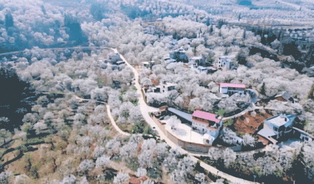 0a05505ec48bc89f9afd9057e95d9680-sz_6295388-2