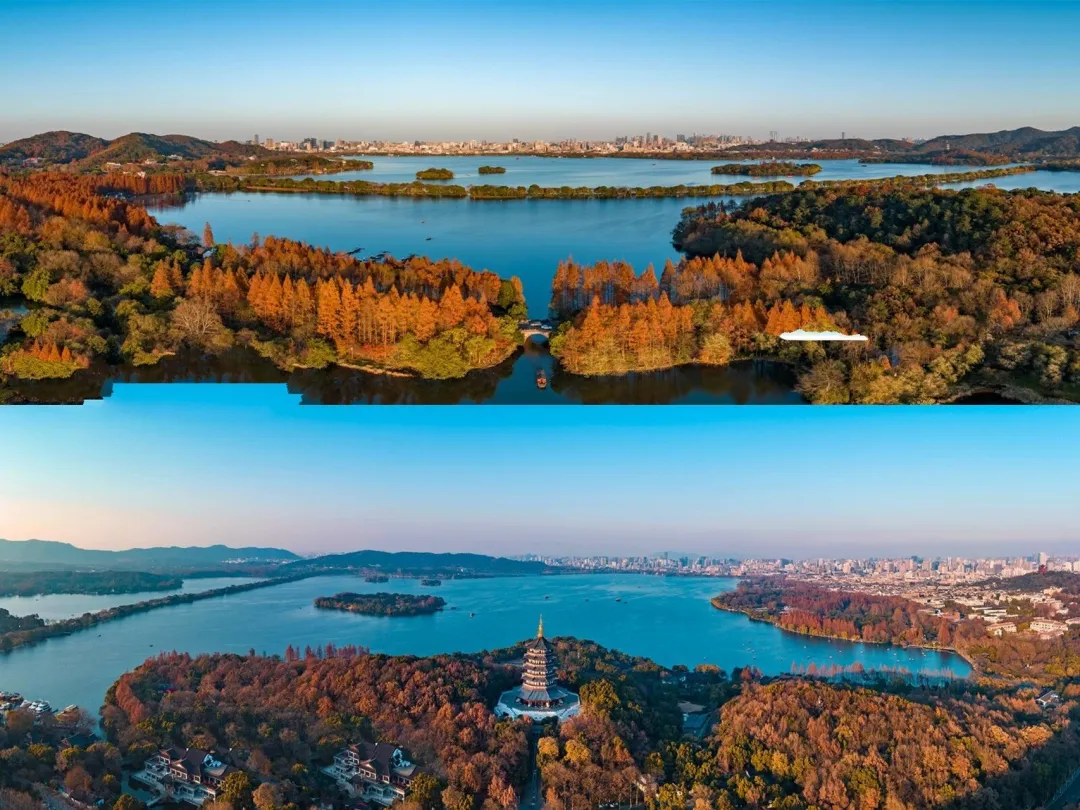 0a1767999f094cd9f83d395d51ec2239-sz_459707