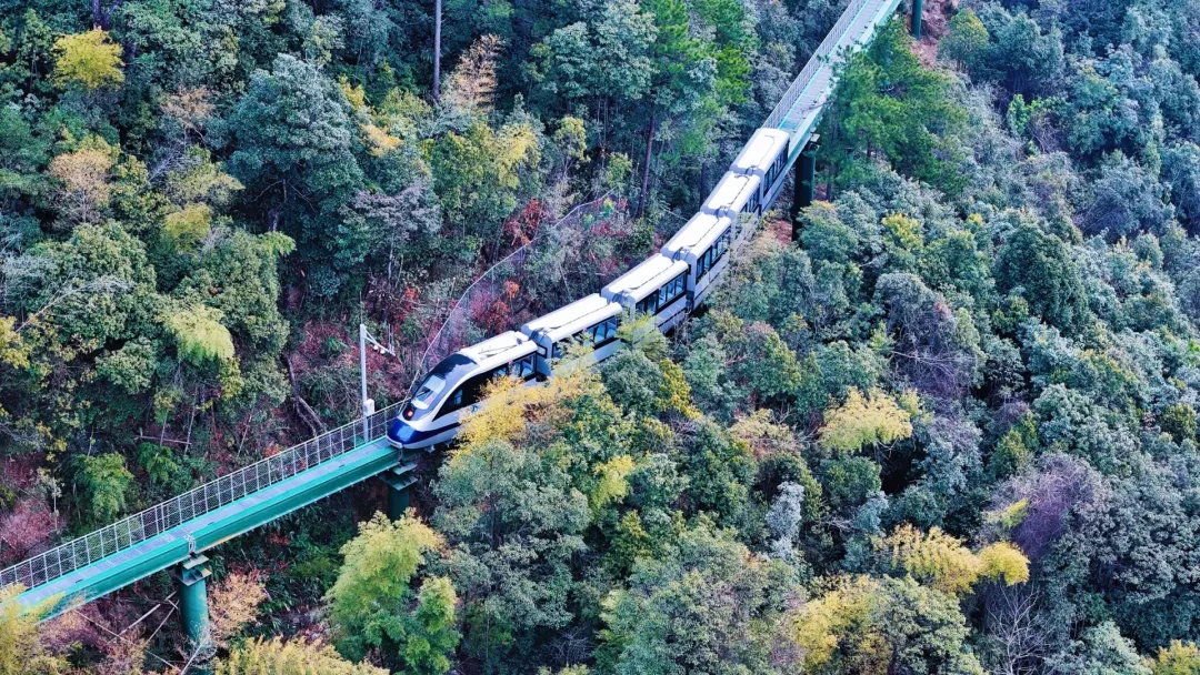 0a30b1a2069305fbd7a615a50b273af8-sz_6053634