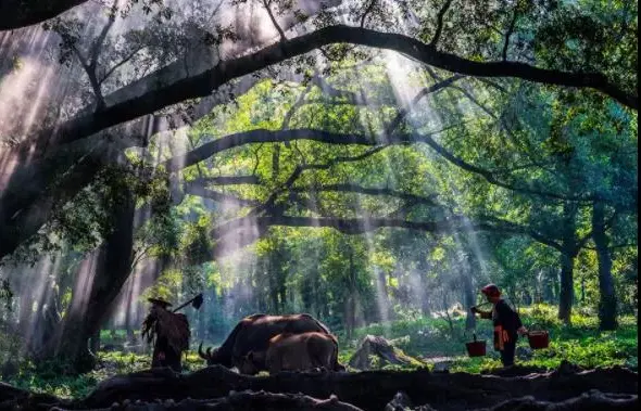 0a7b59e1862a767333c637a0f5e0f029-sz_63302