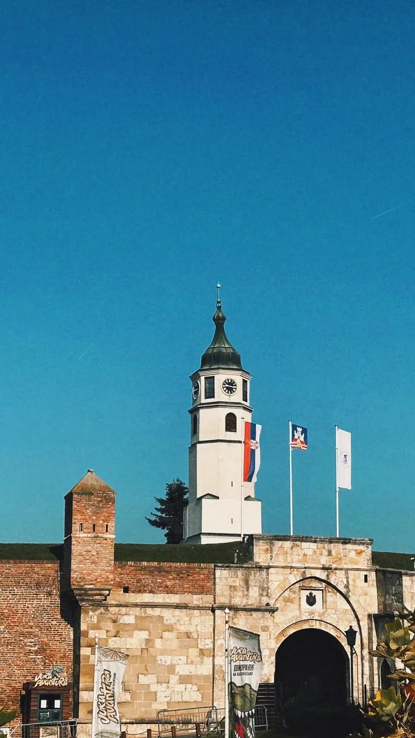 0a8c9ddc2bd2be68610accdbb470e43c-sz_384649