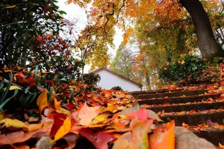 0a90b2747d92b03737ad97aeb03b35e0-sz_216885 0a90b2747d92b03737ad97aeb03b35e0-sz_216885