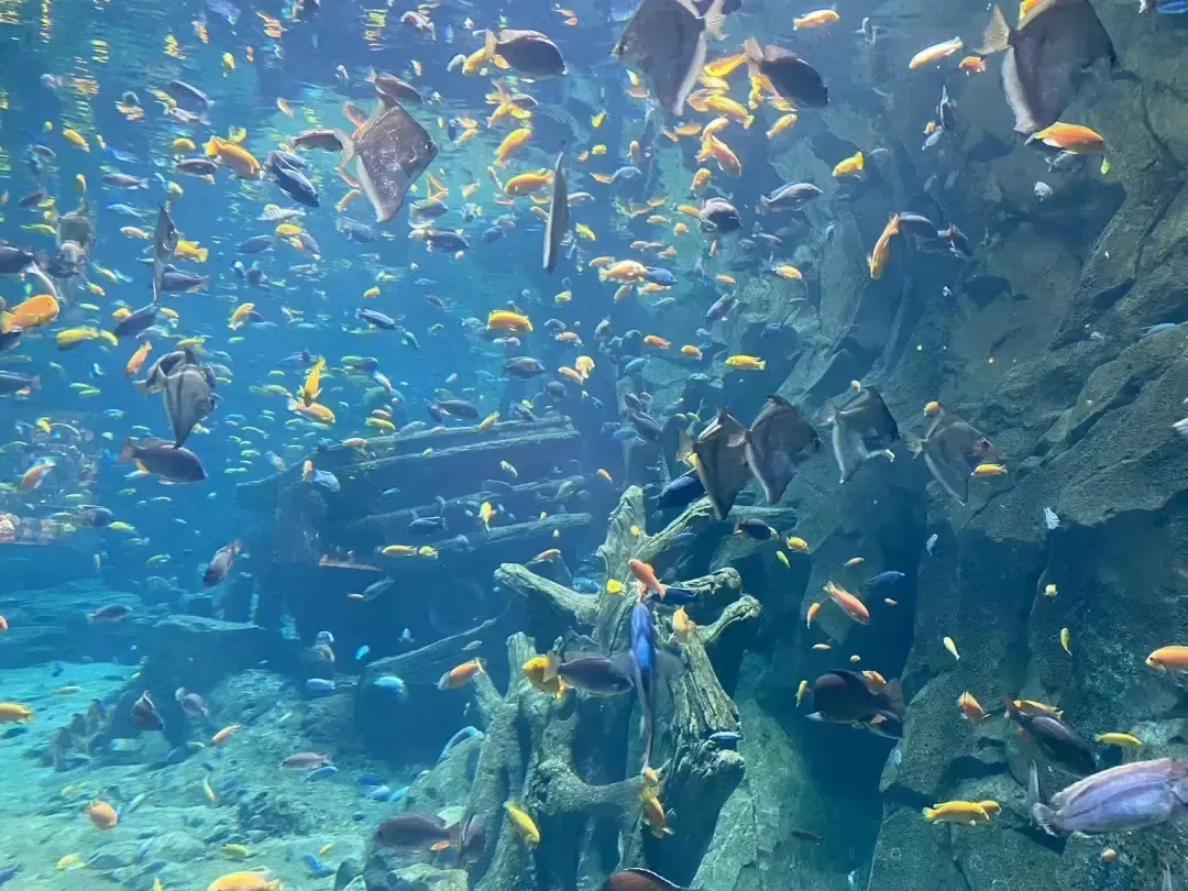 0add4f5f21bfb3cc77a19ac13349977e-sz_1308372-1 0add4f5f21bfb3cc77a19ac13349977e-sz_1308372-1