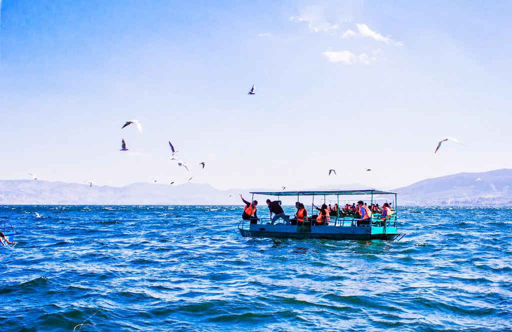 0af12dfdcd5a714d404c3dba7cce2bc2-sz_628272